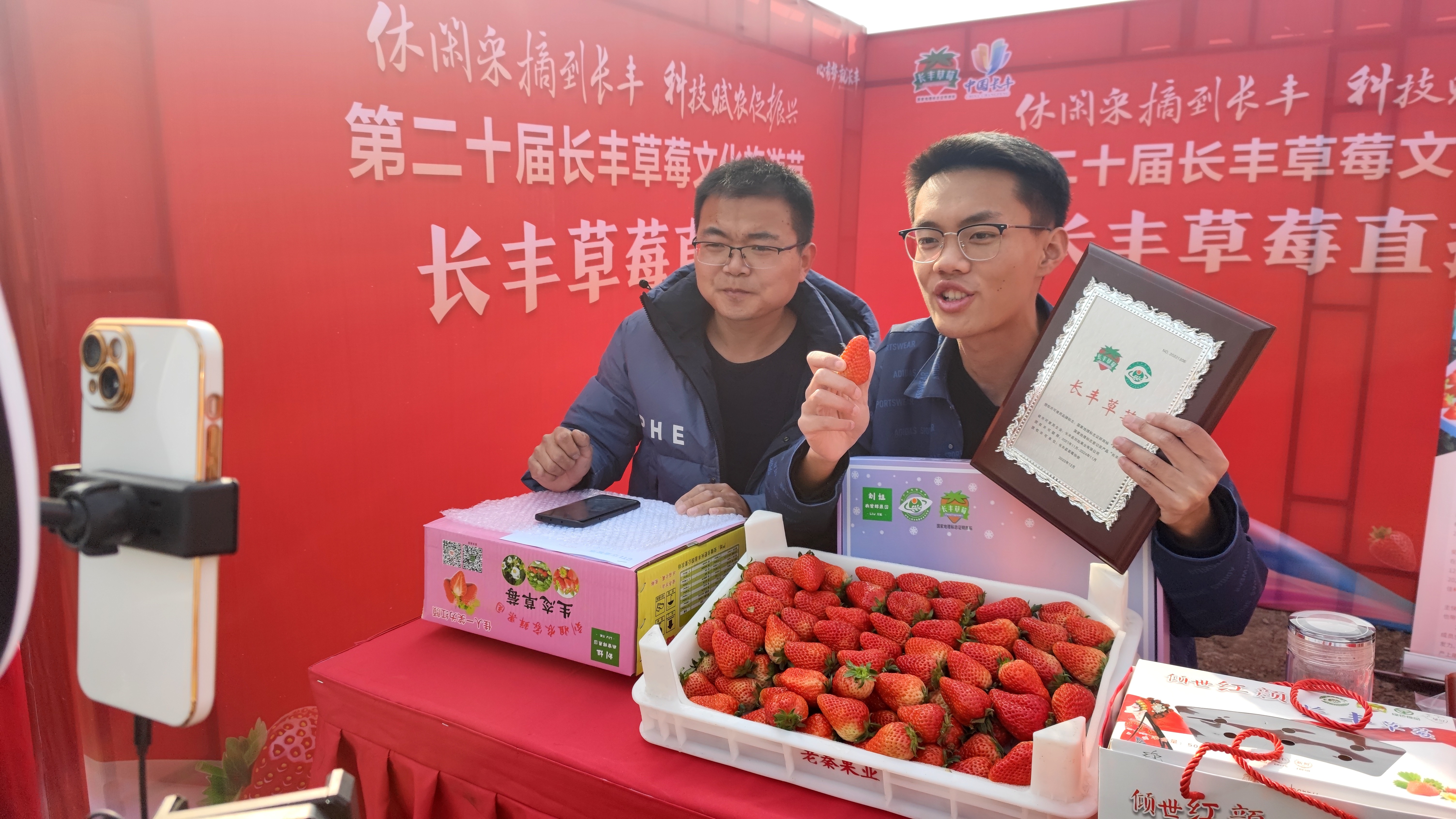 长丰办节卖草莓   “草莓小镇”进军线上市场