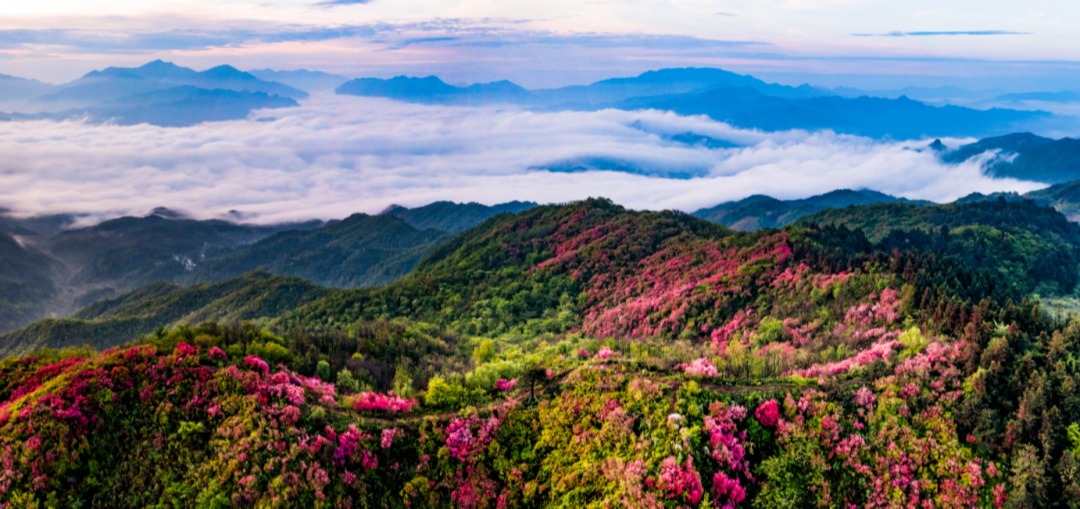 情暖大别山 共话山海情！上海——六安自驾游活动启动